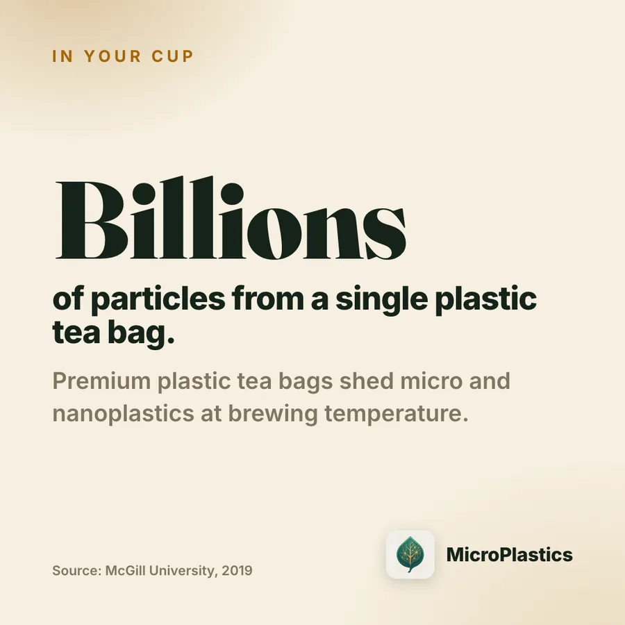 Stat card: a single plastic tea bag can shed billions of micro and nanoplastic particles at brewing temperature. Source: McGill University, 2019.